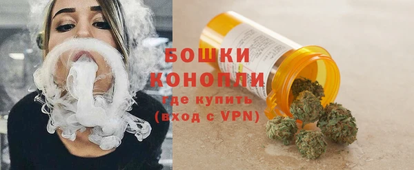 ECSTASY Магас
