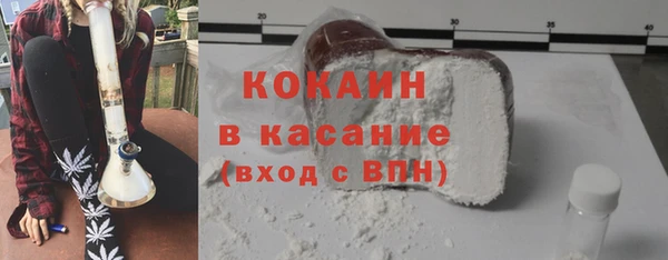 твердый Мегион