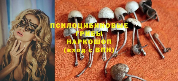 СК Магадан