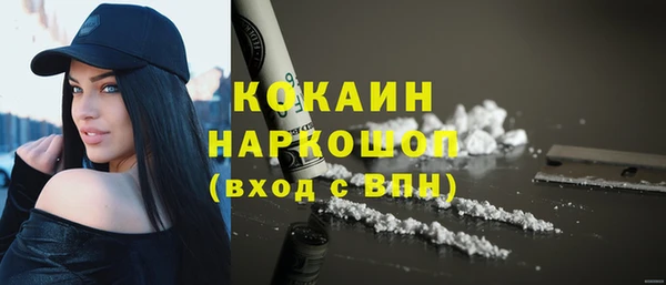 твердый Мегион