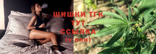 ECSTASY Магас