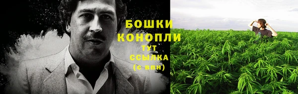СК Магадан